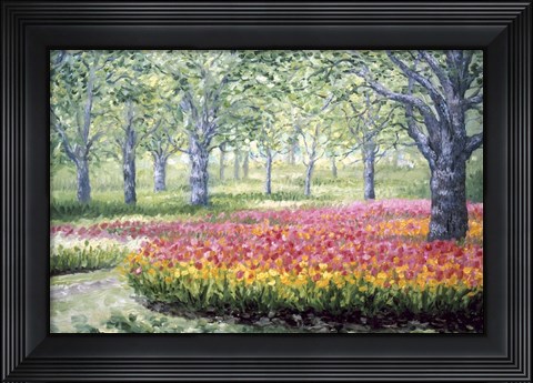 Framed Tranquility Print