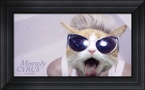 Framed Meowly Cyrus Print