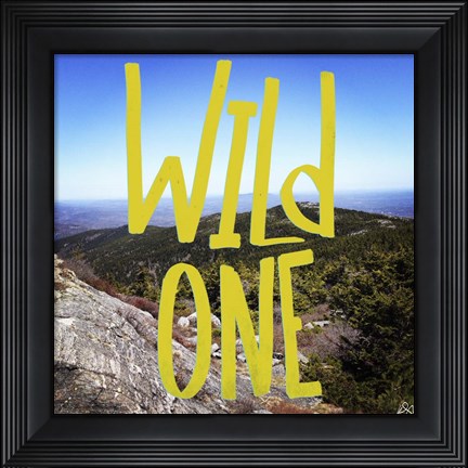 Framed Wild One View From The Top Print