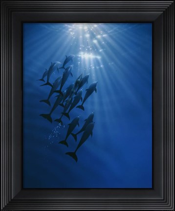 Framed Gathering Print