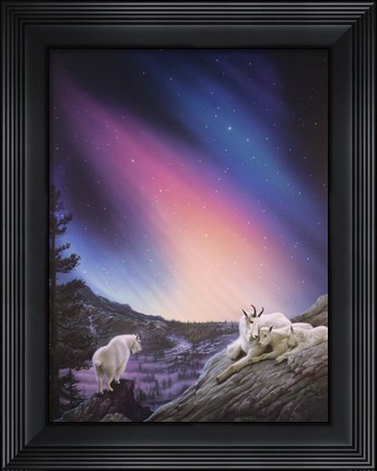 Framed Peaceful Night Print