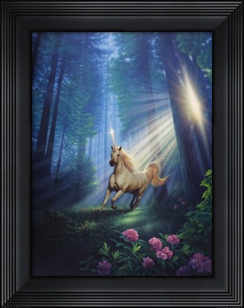 Framed Secret Forest Print