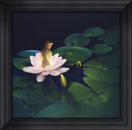 Framed Waterlilies Print