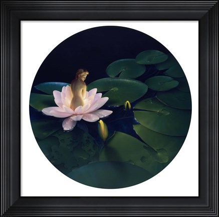 Framed Waterlilies - Circle Print