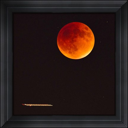 Framed Moonlight Flight Print