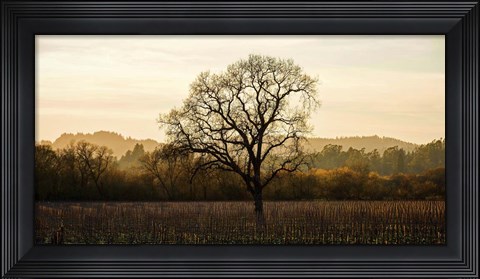 Framed Wine Country Winter Print
