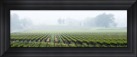 Framed Fog Shrouded Valley Print