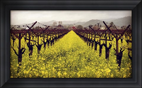 Framed Frog&#39;s Leap Print