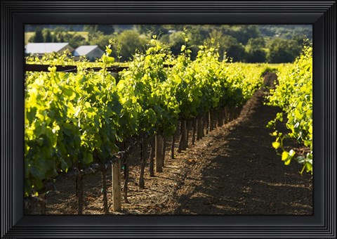 Framed Let&#39;s Go Make Merlot Print