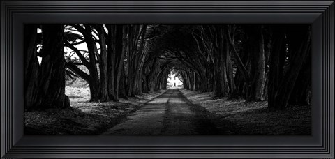 Framed Light at the End of the Tunnel Print