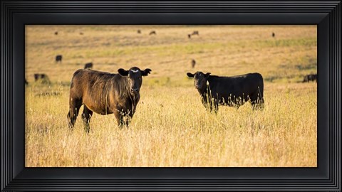 Framed Out Standing in their Field Print