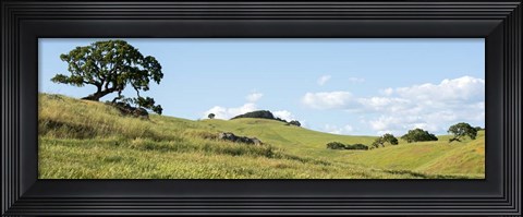 Framed Petaluma Hills Print