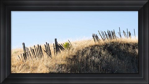 Framed Pickets and Barbed Wire Print
