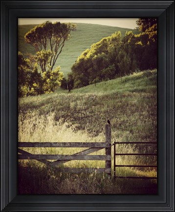 Framed Resting on a Fencepost Print
