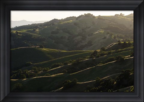 Framed Rim Light Print