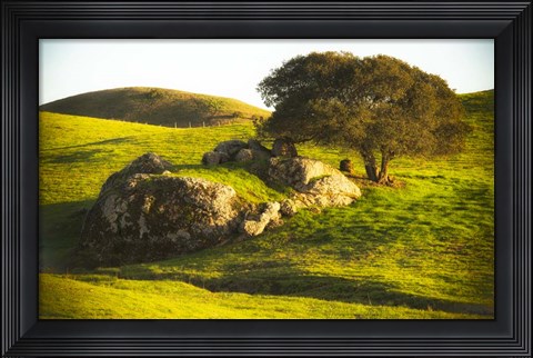 Framed Rock and Tree Print