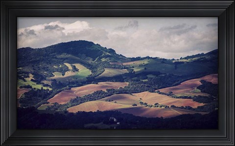Framed Sonoma Hillside Shadows Print