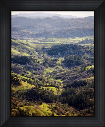 Framed Vista Point Print