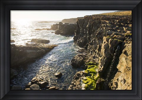 Framed Wild Sonoma Coast Print