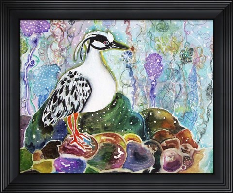 Framed Rainbow Rock Little Heron Print