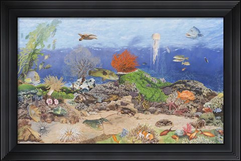 Framed Under the Sea Print