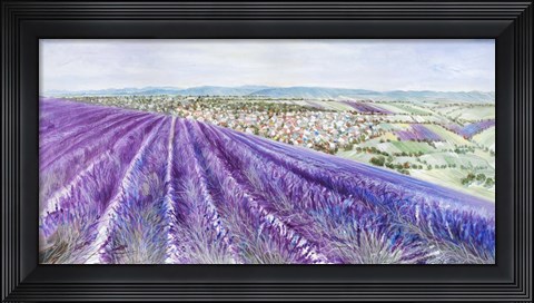 Framed Lavender II Print