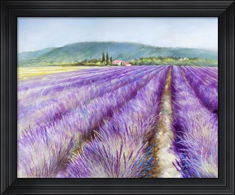 Framed Lavender III Print