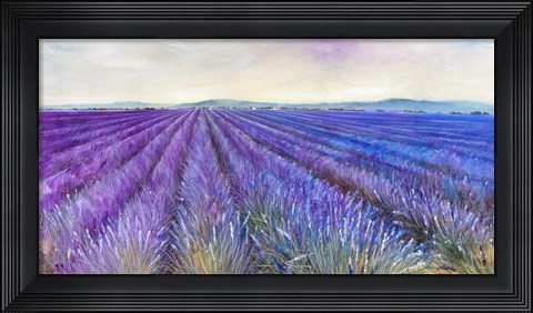 Framed Lavender VI Print