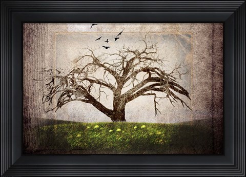 Framed Cottonwood Tree Part 3 Print