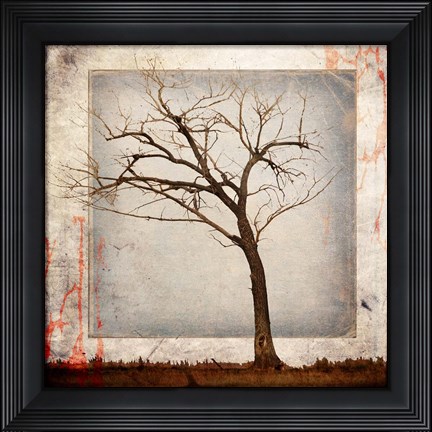 Framed Cottonwood Tree Part 5 Print