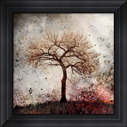 Framed Cottonwood Tree Part 9 Print