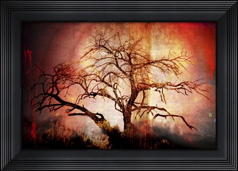 Framed Cottonwood Tree Part 10 Print