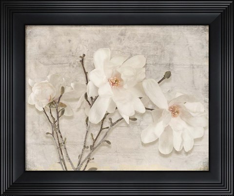 Framed Spring Magnolia Print