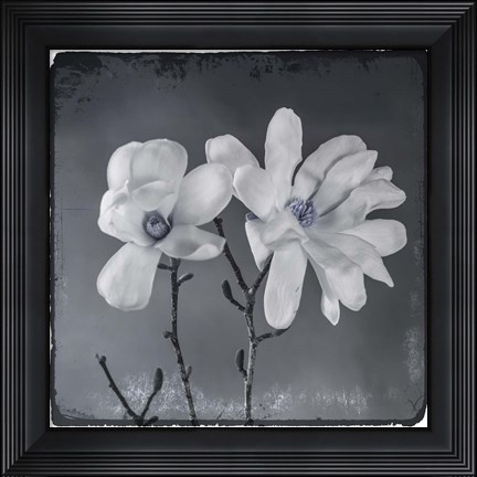 Framed Blue Magnolia 3 Print