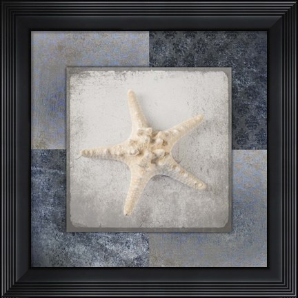 Framed Blue Star Fish 3 Print