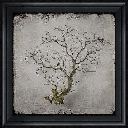 Framed Golden Sea 2 Print