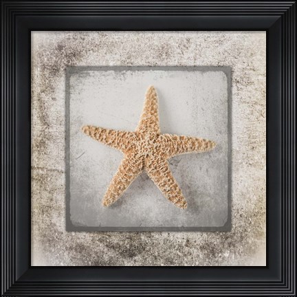 Framed Stone Star Print