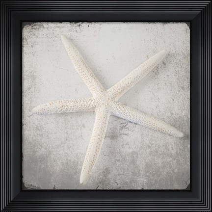 Framed Vintage Natuical Set 2 Print