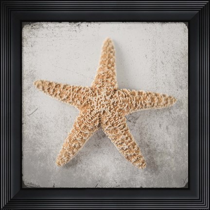 Framed Vintage Natuical Set 3 Print