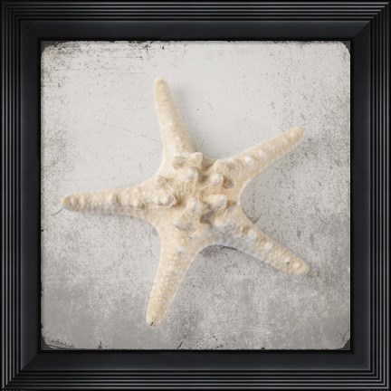 Framed Vintage Natuical Set Print