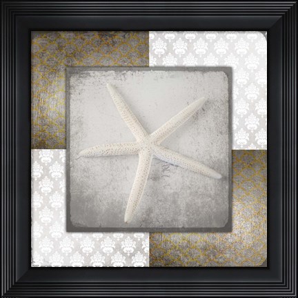 Framed Vintage Natuical Star 3 Print