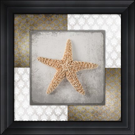 Framed Vintage Natuical Star Print