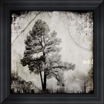 Framed July Tree 12 Print