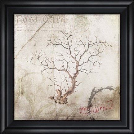 Framed Sea Leaf 2 Print