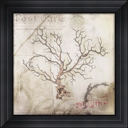 Framed Sea Leaf 3 Print