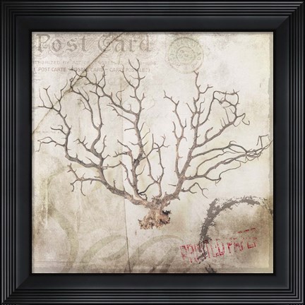 Framed Sea Leaf Print