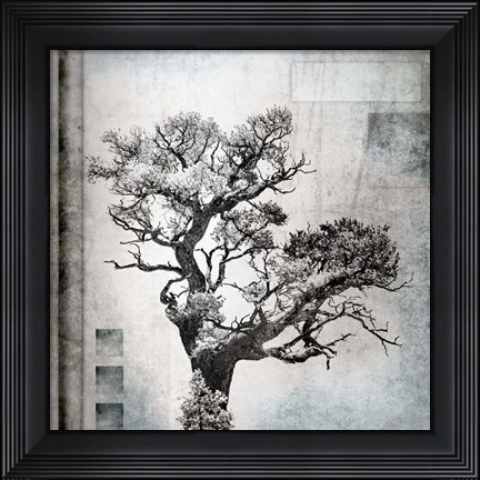 Framed August Tree 4 Print