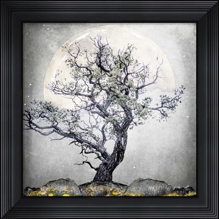 Framed August Tree 5 Print