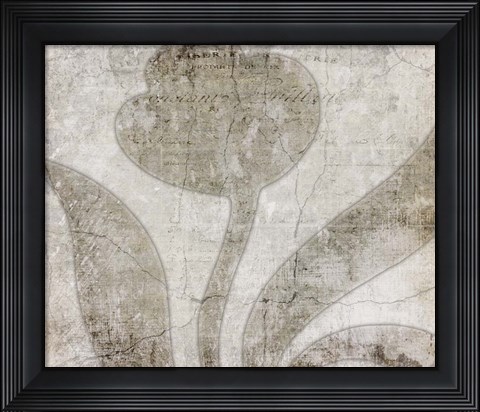 Framed Decorative Pattern 5.1 Print