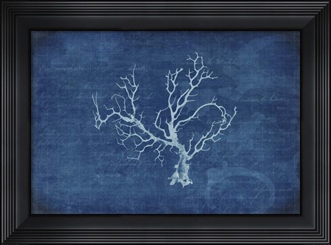 Framed Gypsy Blue Cyanotype V1 Print